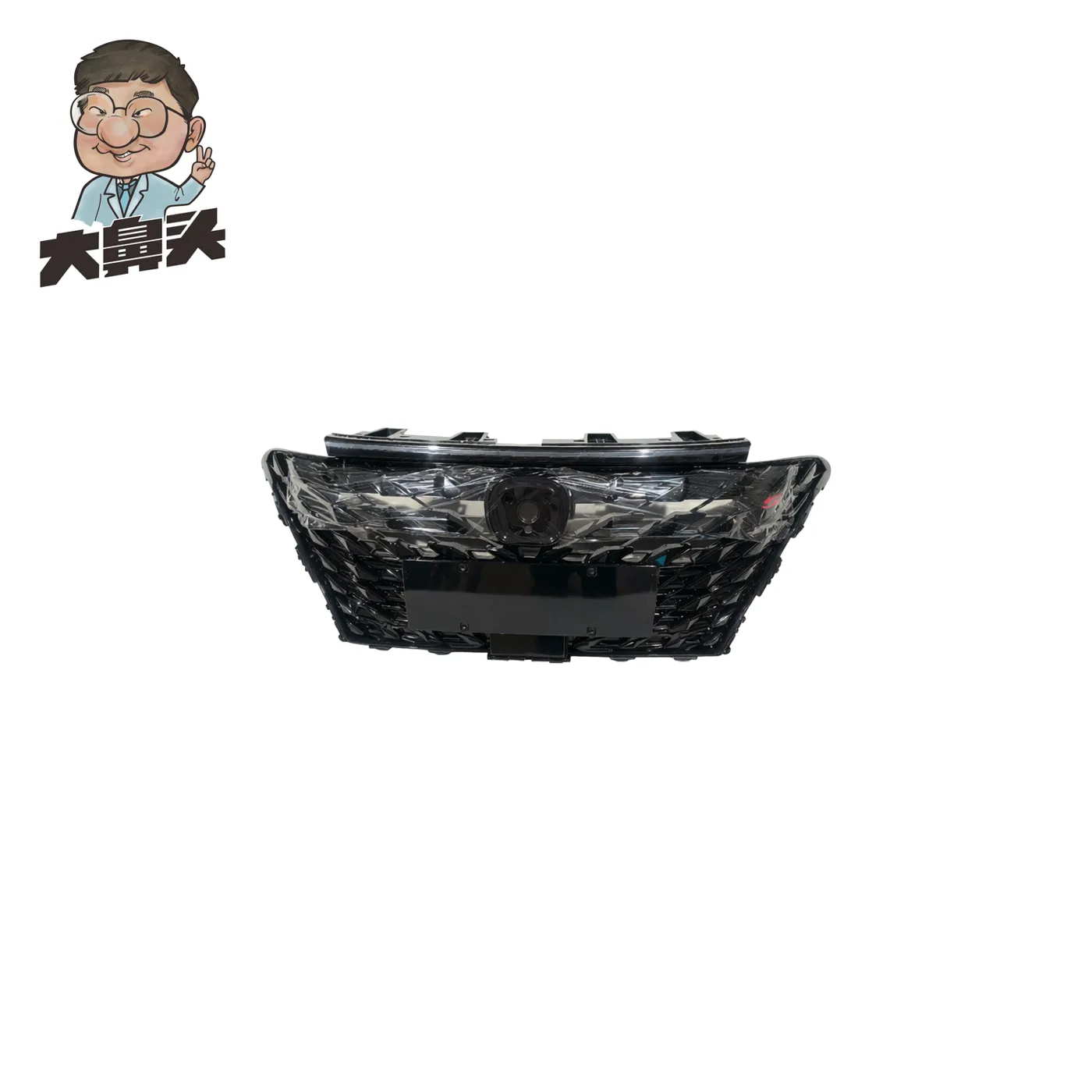Front Grille · BN-2672148
