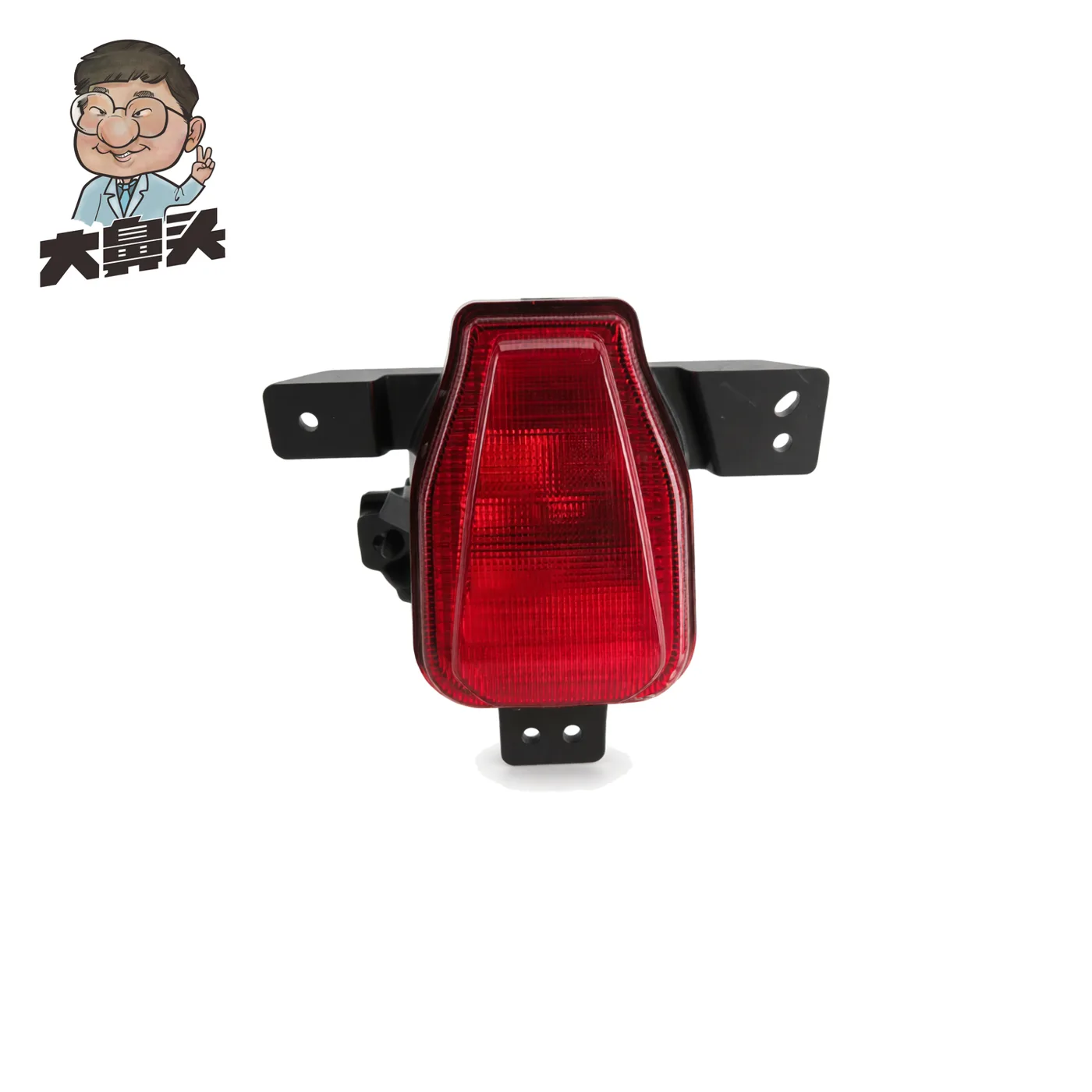 Fog Light · BN-2672302