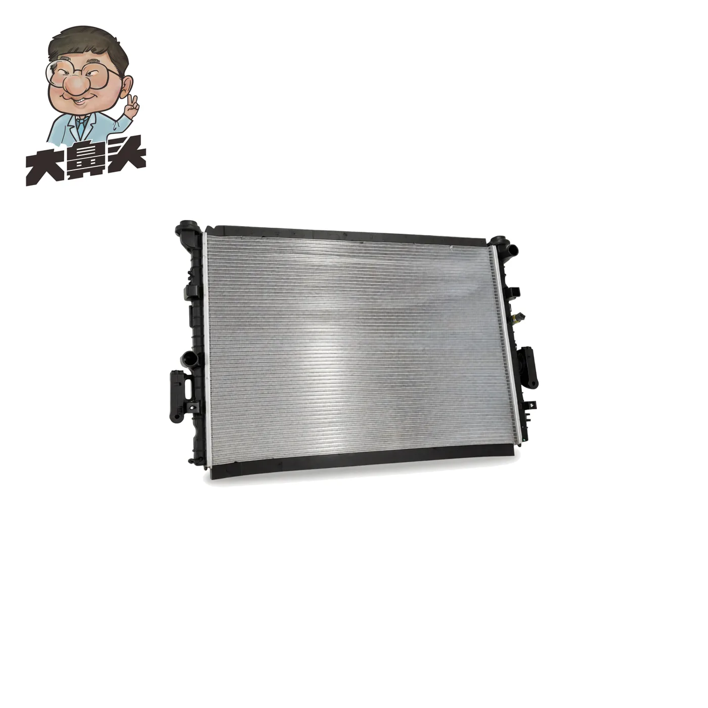 Radiator · BN-2672387