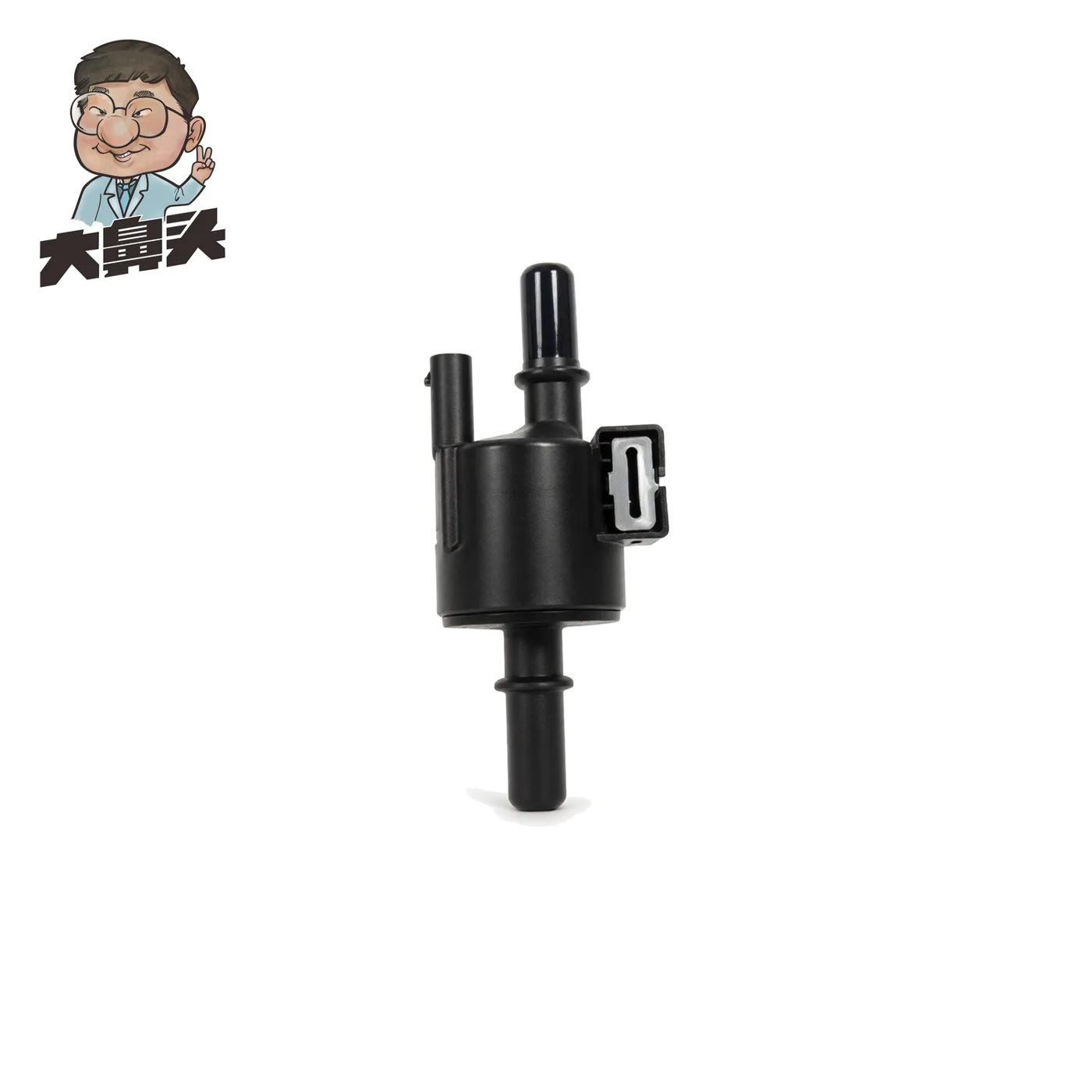 Carbon Canister · BN-2672434