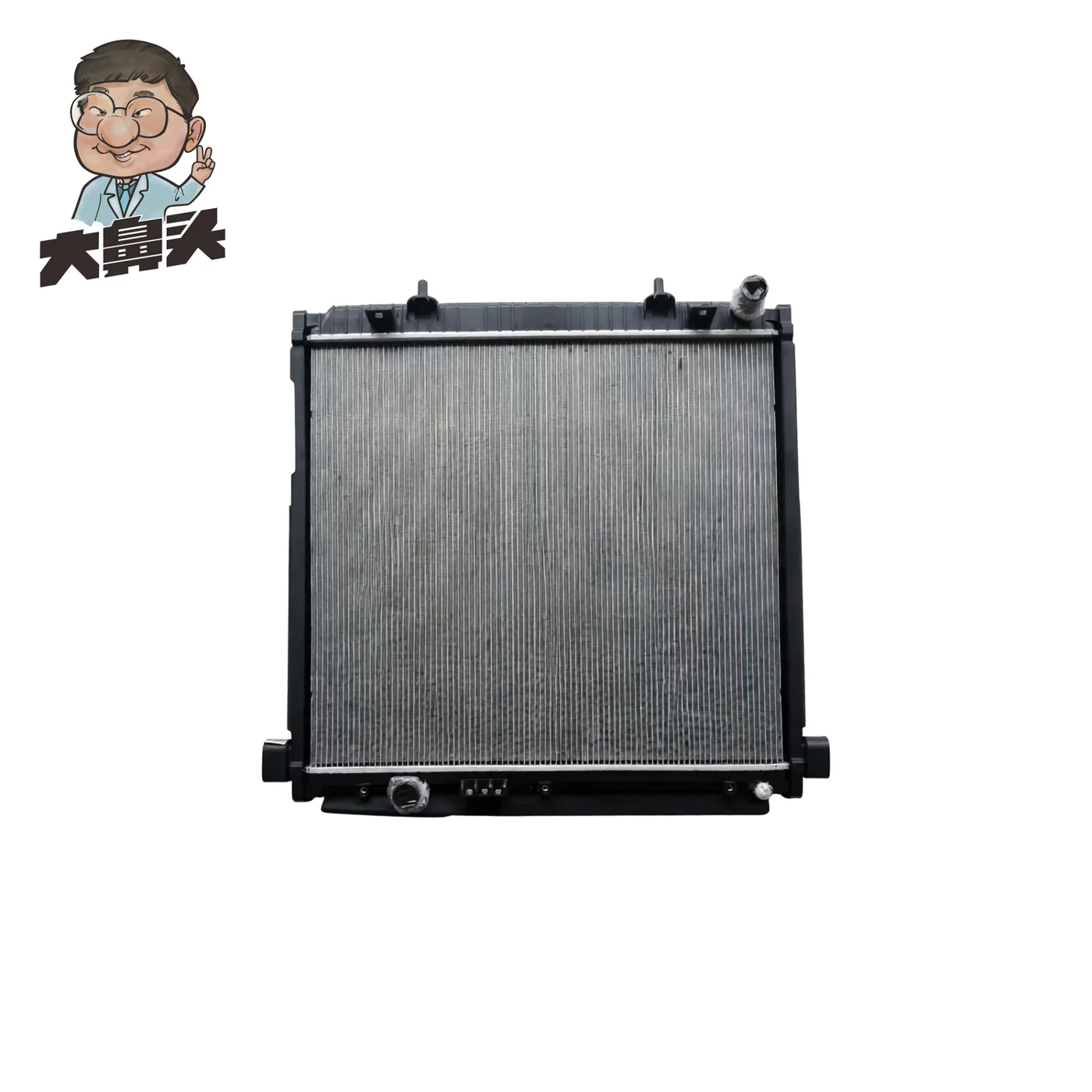 Radiator · BN-2672491